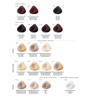 Farba TREND TOUJOURS Color Professional 3, 100ml