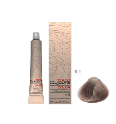 Farba TREND TOUJOURS Color Professional 6.1, 100ml