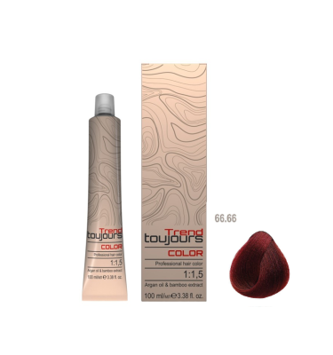 Farba TREND TOUJOURS Color Professional 66.66, 100ml