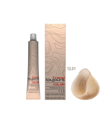 Farba TREND TOUJOURS Color Professional 12.01, 100ml